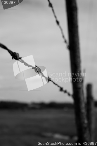 Image of Desolate Barbed Wire