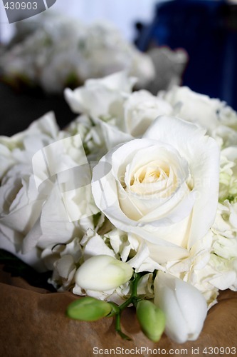 Image of Bouquet of White Flowers