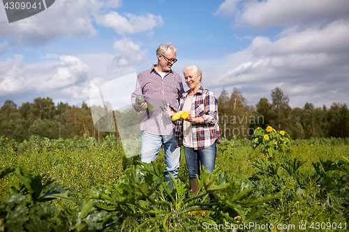 Image of happy senior couple on squash garden bed at farm