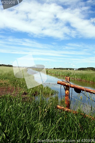 Image of Down the Creek