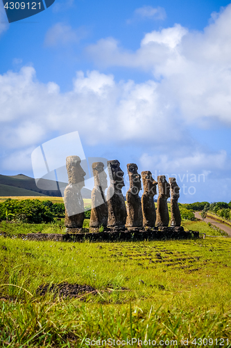 Image of Moais statues, ahu Akivi, easter island