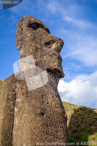 Image of Moai statue on Rano Raraku volcano, easter island