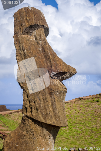 Image of Moai statue on Rano Raraku volcano, easter island