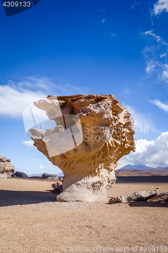 Image of Arbol de Piedra in Siloli desert, sud Lipez reserva, Bolivia