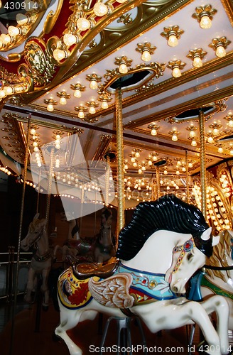 Image of Whimsical Carousel