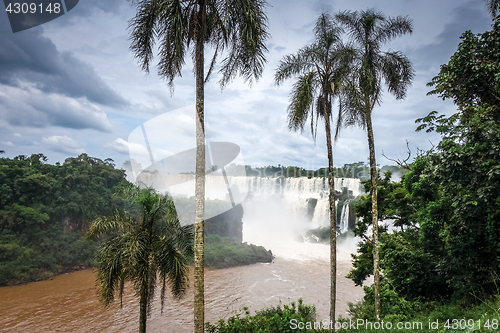 Image of iguazu falls