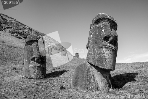 Image of Moais statues on Rano Raraku volcano, easter island. Black and w