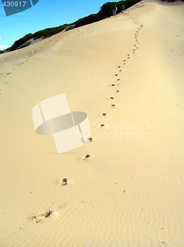 Image of Climbing Sanddunes