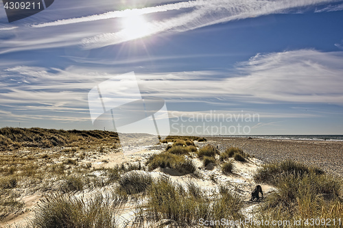 Image of Skagen west coast, Denmark