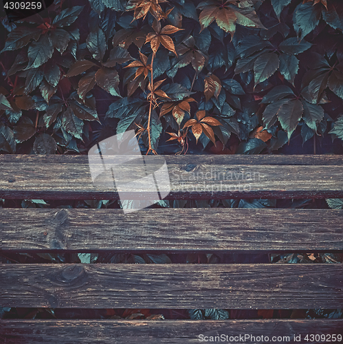 Image of Wet Autumn Leaves Over Wooden Planks