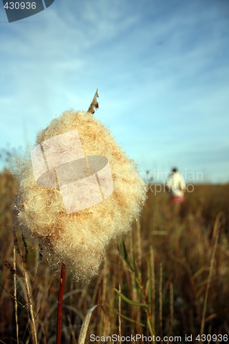 Image of An Autumn Walk