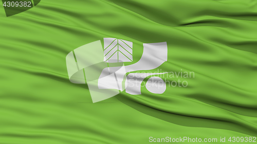 Image of Closeup Tochigi Japan Prefecture Flag
