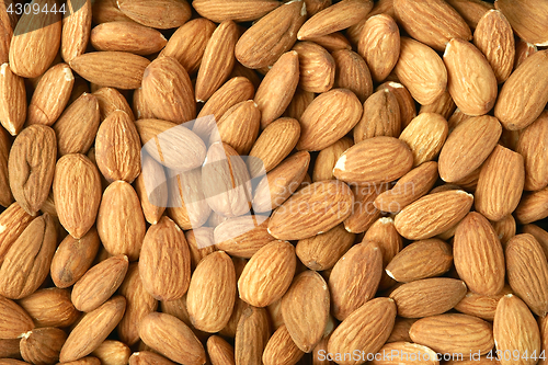 Image of Background made of almonds