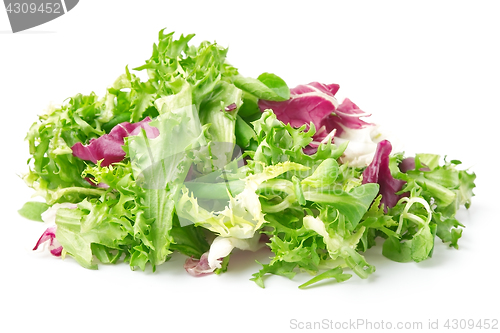 Image of Bunch of crispy mixed leaf