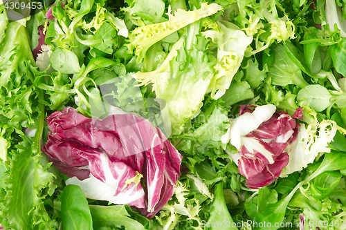 Image of Background made of crispy mixed leaf