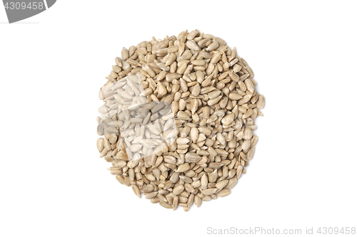 Image of Pile of sunflower seeds