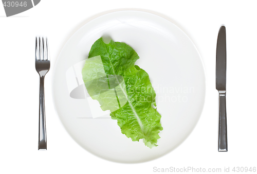 Image of single lettuce leaf on a plate