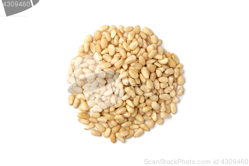 Image of Pile of pine nut kernels