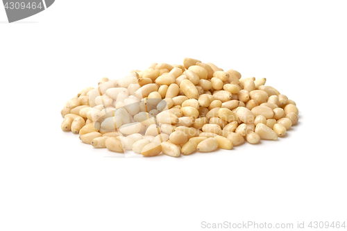 Image of Bunch of pine nut kernels
