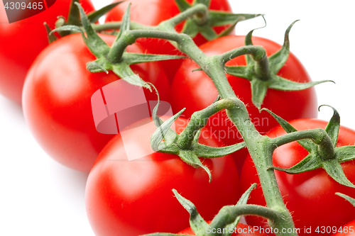 Image of Bunch of tomatoes on the vine