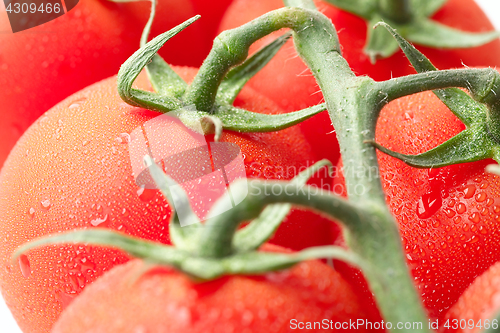 Image of Vine tomatoes closeup