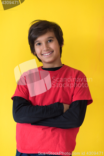 Image of Portrait of a happy young boy
