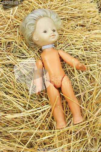 Image of doll lost on the hay