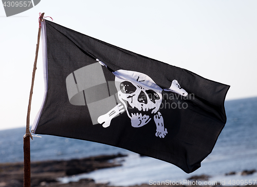 Image of Jolly Roger (pirate flag)