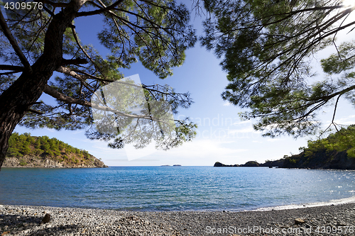 Image of Calm bay and pebbly deserted beach with shadow from pine trees a
