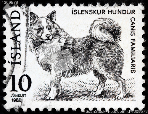 Image of Domestic Dog Stamp