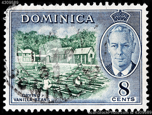 Image of Vintage Dominica Stamp
