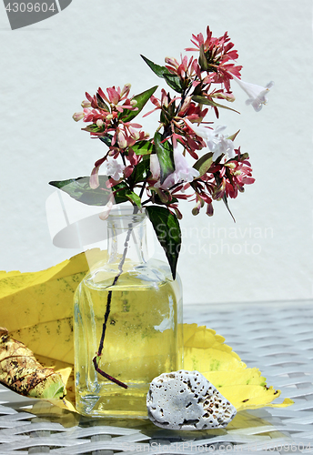 Image of Still life with blossom branch