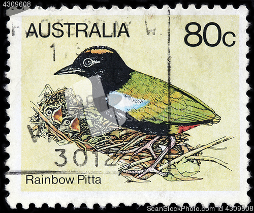 Image of Rainbow Pitta Stamp