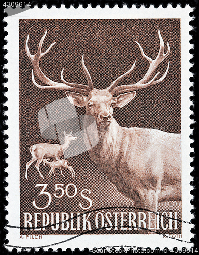 Image of Red Deer Stamp