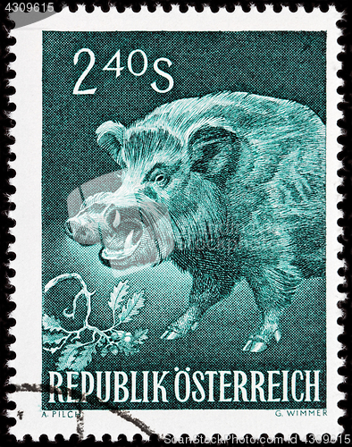 Image of Wild Boar Stamp