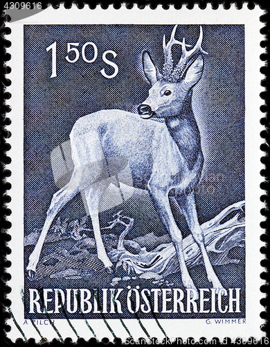 Image of European Roe Deer Stamp