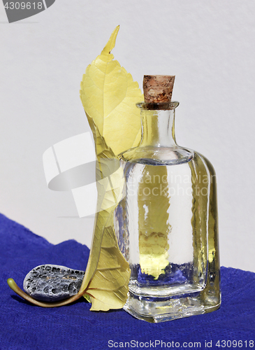 Image of Glass Jar and Yellow Leaf