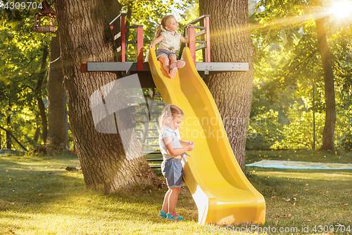 Image of Happy little girls rolling down the hill on the playground