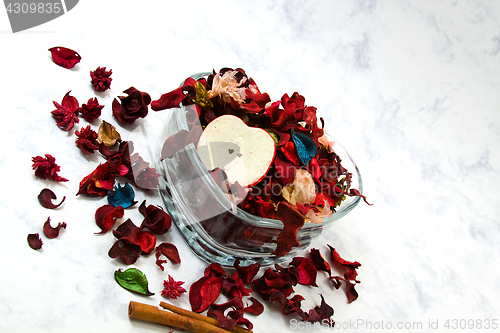 Image of Close up on dried leaves and rose