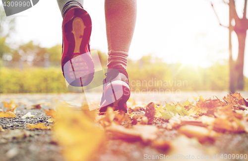 Image of close up of young woman running in autumn park