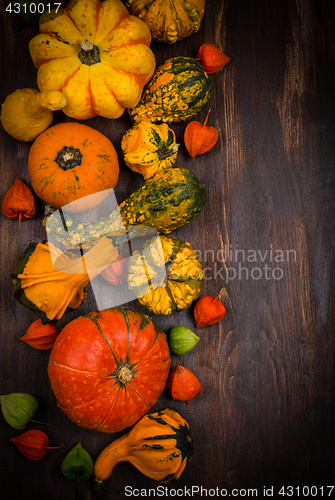 Image of Autumn border with pumpkins and copy space
