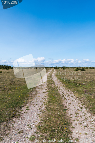 Image of Country road straight into an open landscape