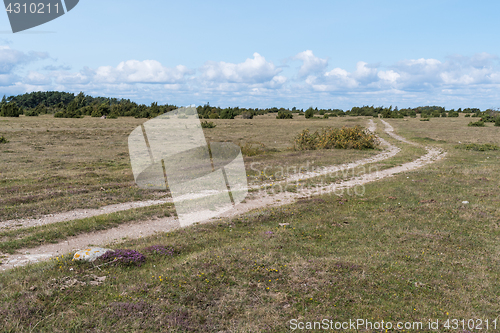 Image of Winding country road