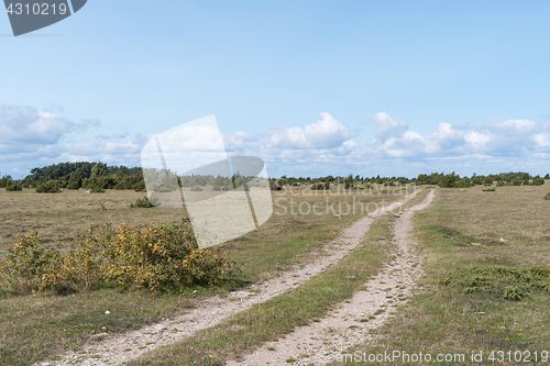 Image of Winding dirt road in wilderness