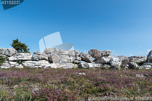 Image of Traditional stone wall closeup