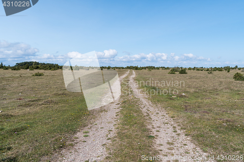 Image of Dirt road straight into a wide open flatland