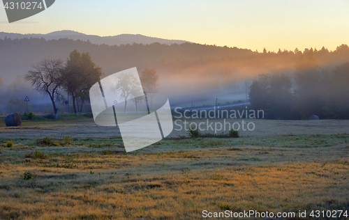 Image of Mystic foggy landscape 