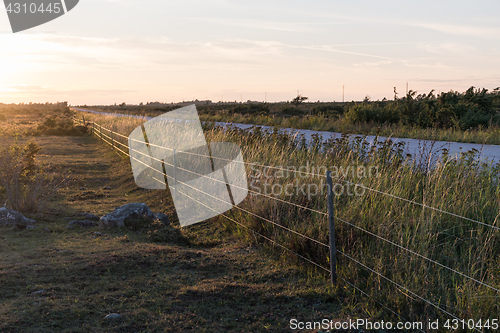 Image of Sunlit fence by roadside