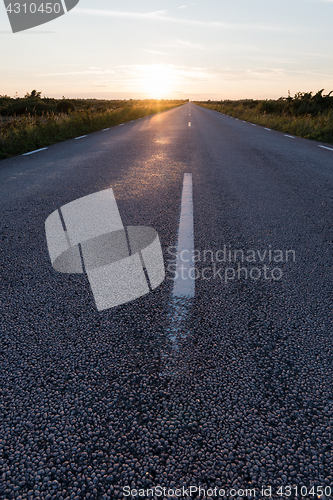 Image of Sunlit asphalt road from low perspective
