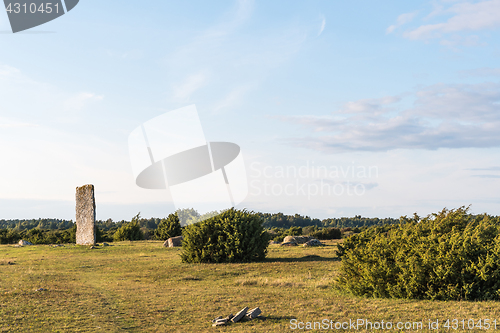 Image of Ancient monument among junipers in a great plain grassland